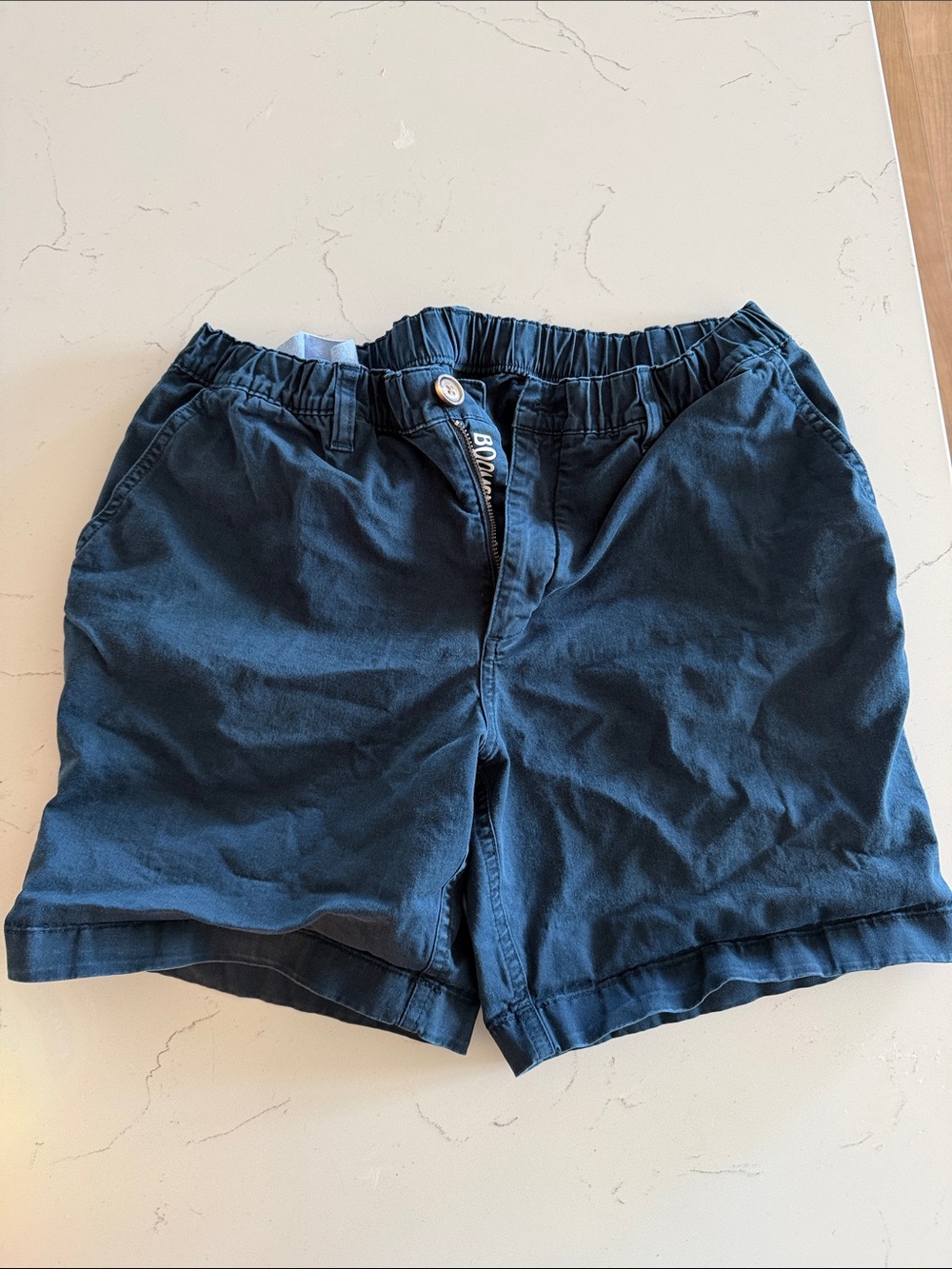 chubbies Blue Logo Casual Shorts